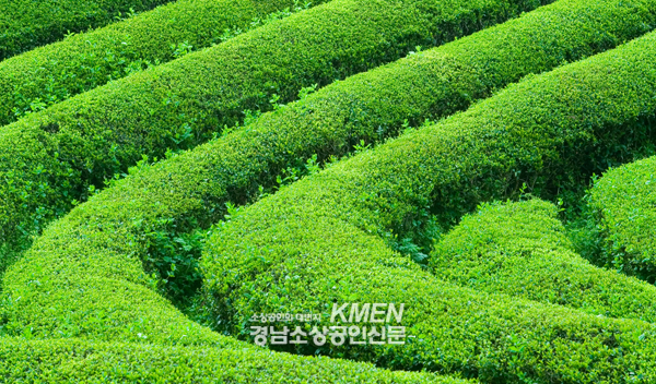 2039632632_9CcWwymd_dc6f1af64ae834477c61