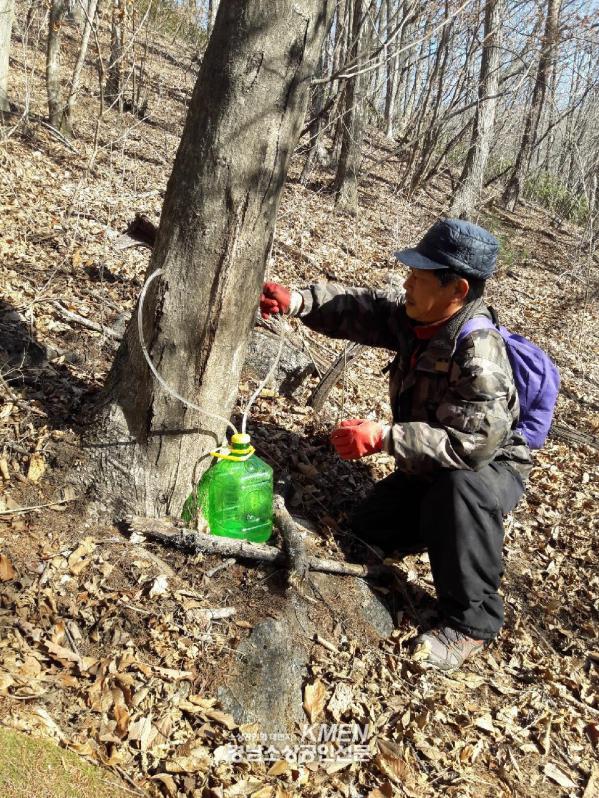 2039632632_CqyZk8Wu_4b4e74b7a4da62230971