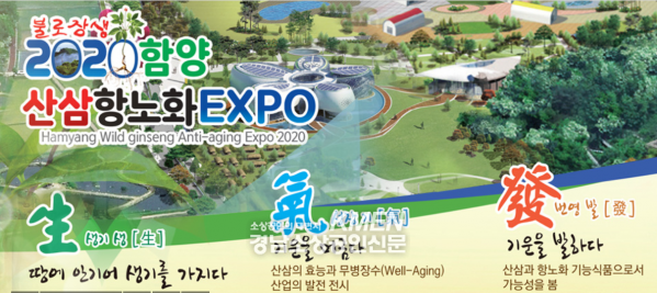 2039632632_PmkYVBKL_3158bea1f01296b35a4b