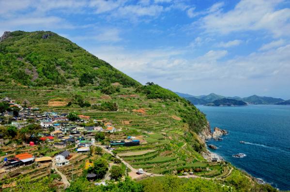 2039632632_QRAm4lMw_5923a199e2a9346a2f3b