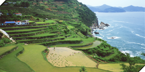 2039632632_iD04tEbV_2bb9bf79e9e8b2558599