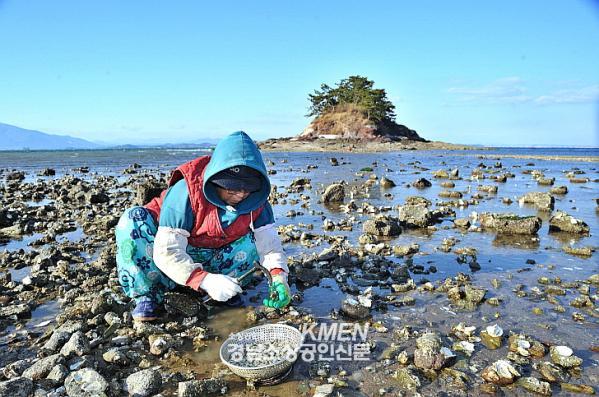 2039632632_oIWPb0za_56fd93270da638c8126b