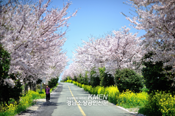 2039632632_0D3qriTc_ff68621feb114330ce02