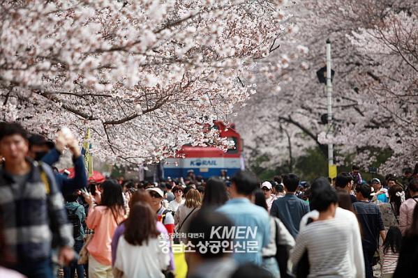 2039632632_91oRQFam_09de86483d1b84070cad