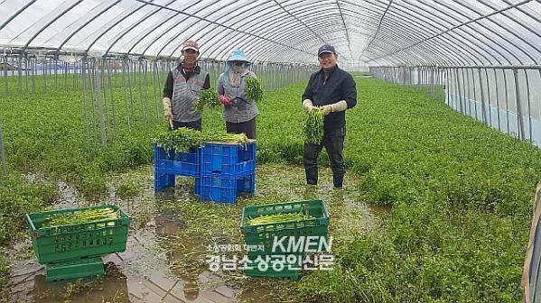 2039632632_B5hwE8Aq_7a62f60ca1a13bee885d