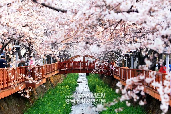 2039632632_OSpr7ZiV_6a65cfcdb2c7d99b853a