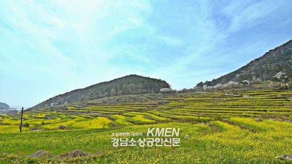 2039632632_gBjE3d0k_86260e38c67e9882d53b