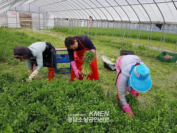 2039632632_v0dbfRgh_153a66e836a849c688fb