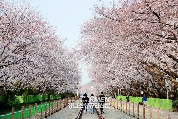 3531325196_1QlZWmbc_7be0e34d02789258b144