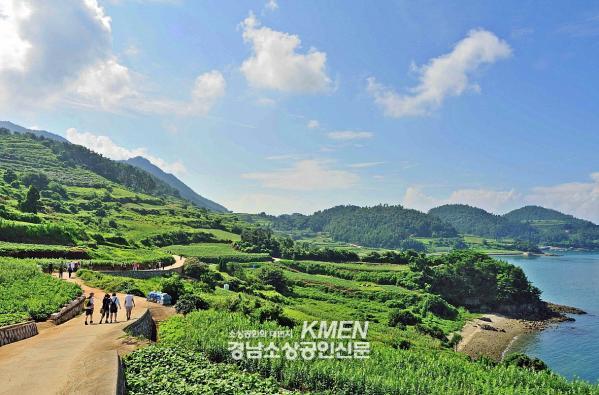 3531325196_Ikqaw0vx_fbbbec624fb603ef616e