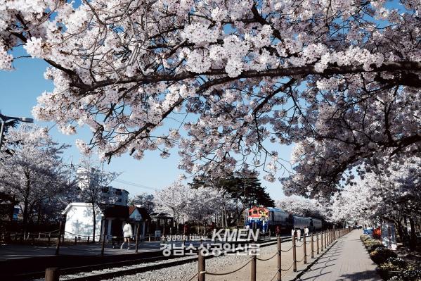 3531325196_GYlJprND_ef2e0326404e638467e6