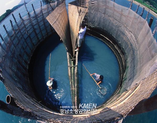 3531325196_u6Kht8BL_1ece0e96683c5cf6d85b