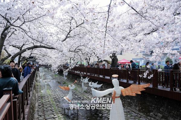 3531325196_z8DkF5fC_5811cdc2a716895fd3b0