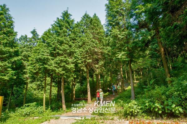 3717738977_QpBgjETm_8c0be56635c93dc186dd