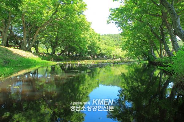 3717738977_YRAw0vOf_66b0d07a8fef5d61343c