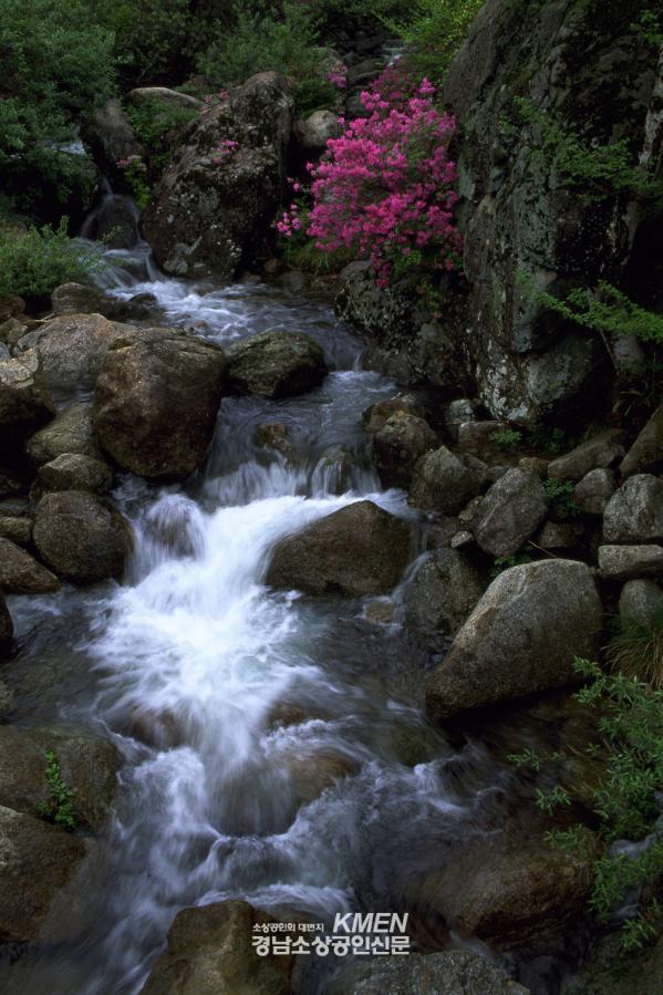 991336852_nVCsE37Z_fddca577aa876d42bd644