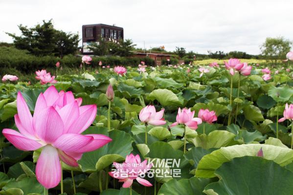 991336852_ubA8ecIR_dbd121b57ead09e281246