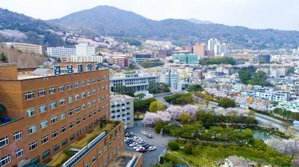 991336852_x6HE8Bop_d18fc9d9802411f24d0c2